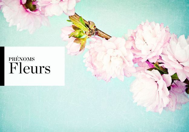 Prénoms de fleurs pour filles et garçons - Elle