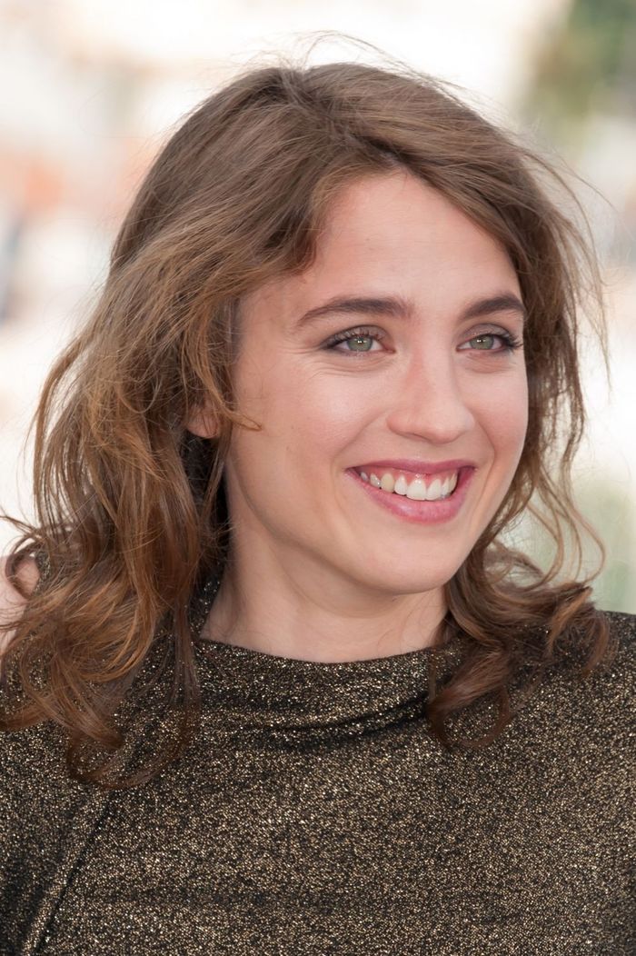 Adele Haenel nude (23 fotos), hacked Topless, Twitter, lingerie 2015