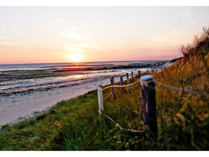 Rosé Des Dunes Ile De Ré Cubi